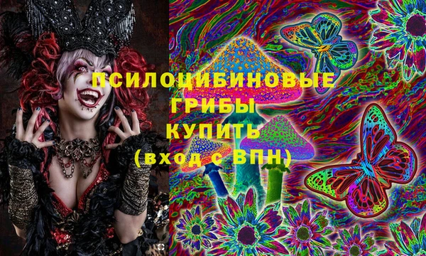 метадон Чекалин