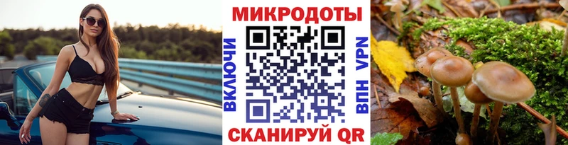 Купить Когалым Псилоцибиновые грибы Psilocybine cubensis