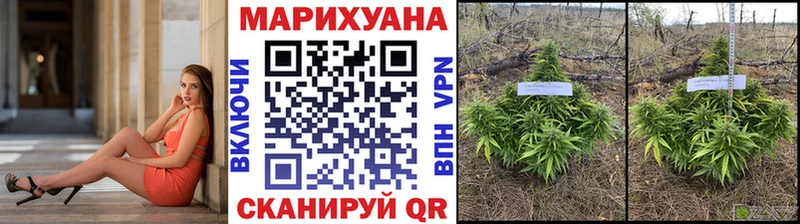 Марихуана White Widow  Купить  Когалым 